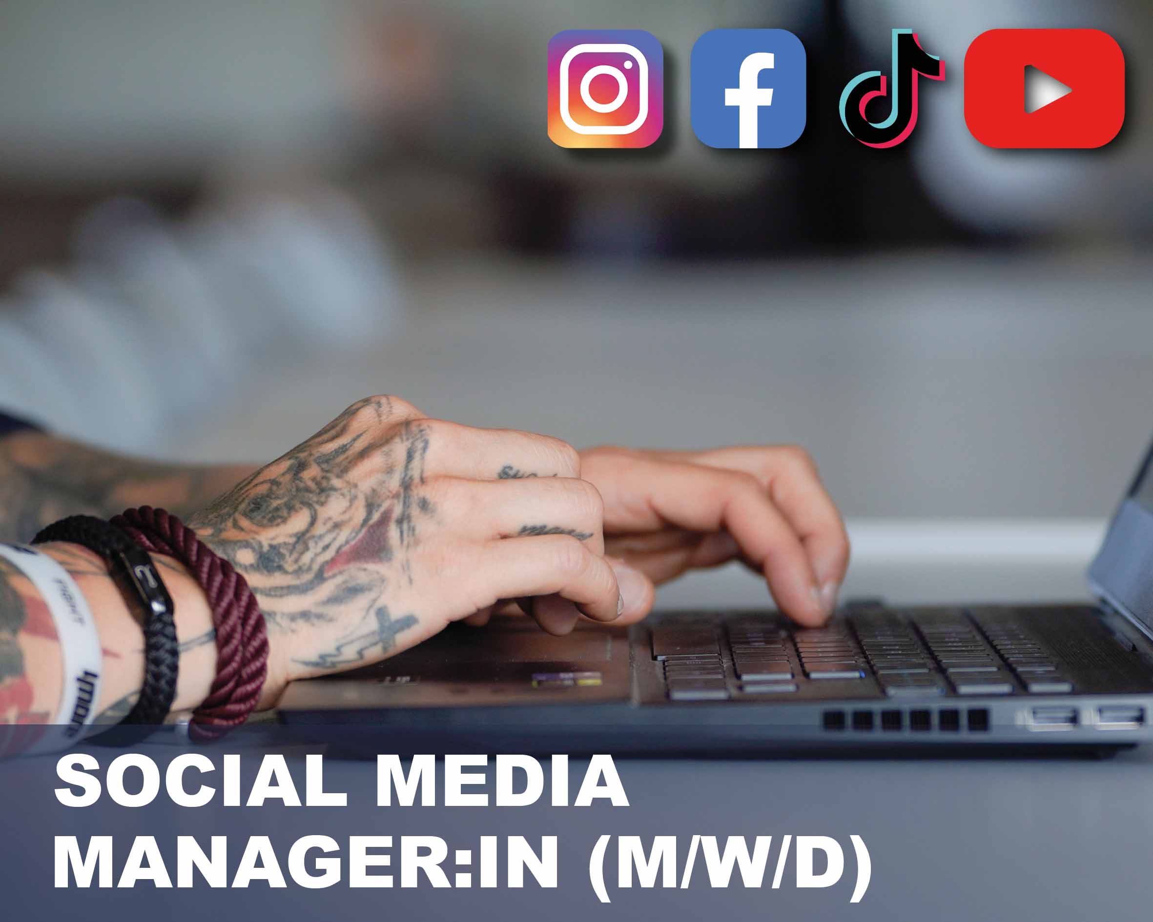 Job - Social Media Manager - LakeDog Akademie