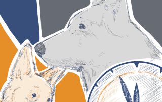 Wie entwickelt sich die Persönlichkeit des Hundes - LakeDog Newstrail