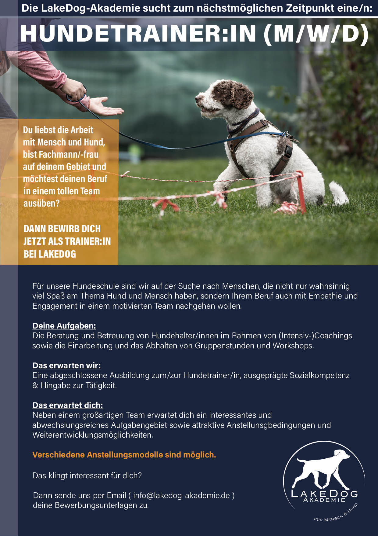 Stellenanzeige Hundetrainer - LakeDog Akademie Bodensee